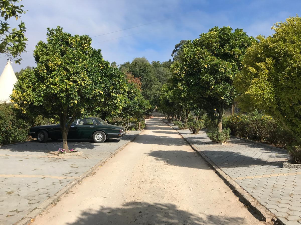 Quinta da Fontoura Alquerubim Exterior foto
